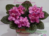 Donna's Kilauea