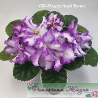 ЛФ-Радостный Вечер