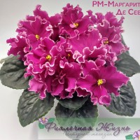 РМ-Маргарита Де Севр
