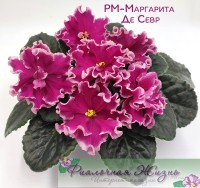 РМ-Маргарита Де Севр