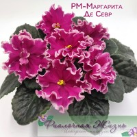 РМ-Маргарита Де Севр