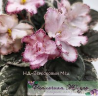 НД-Вересковый Мёд