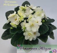 Optimara MySunshine