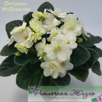 Optimara MySunshine