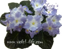 Lyon's Lavender Magic