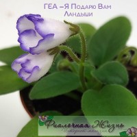 ГЕА-Я Подарю Вам Ландыши