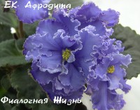 ЕК-Афродита