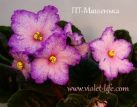 ПТ-Машенька