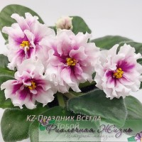 KZ-Праздник Всегда с Тобой