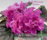 ВаТ-Русская Опера