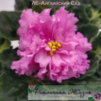 ЛЕ-Английский Сад