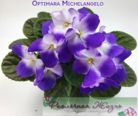Optimara Michelangelo
