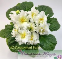 KZ-Солнечный Ветер