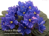 Peace Maker