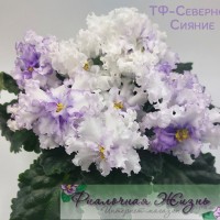 ТФ-Северное Сияние