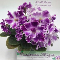 АВ-В Краю Единорогов