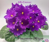 АВ-Сфинкс