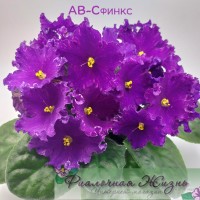 АВ-Сфинкс